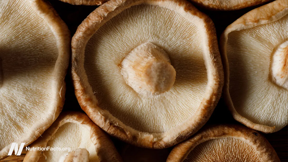 Medicinal Mushrooms Boost Cancer Survival Rates